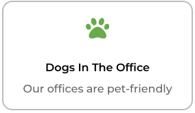 Dogs in the office